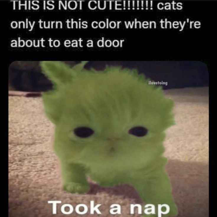 99ae26de78222eb0a6a4553be2d5ce55.jpeg