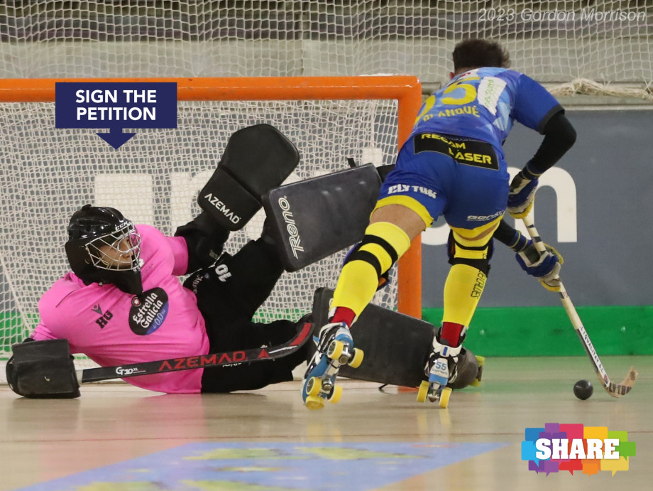 Rink_Hockey_2.jpg